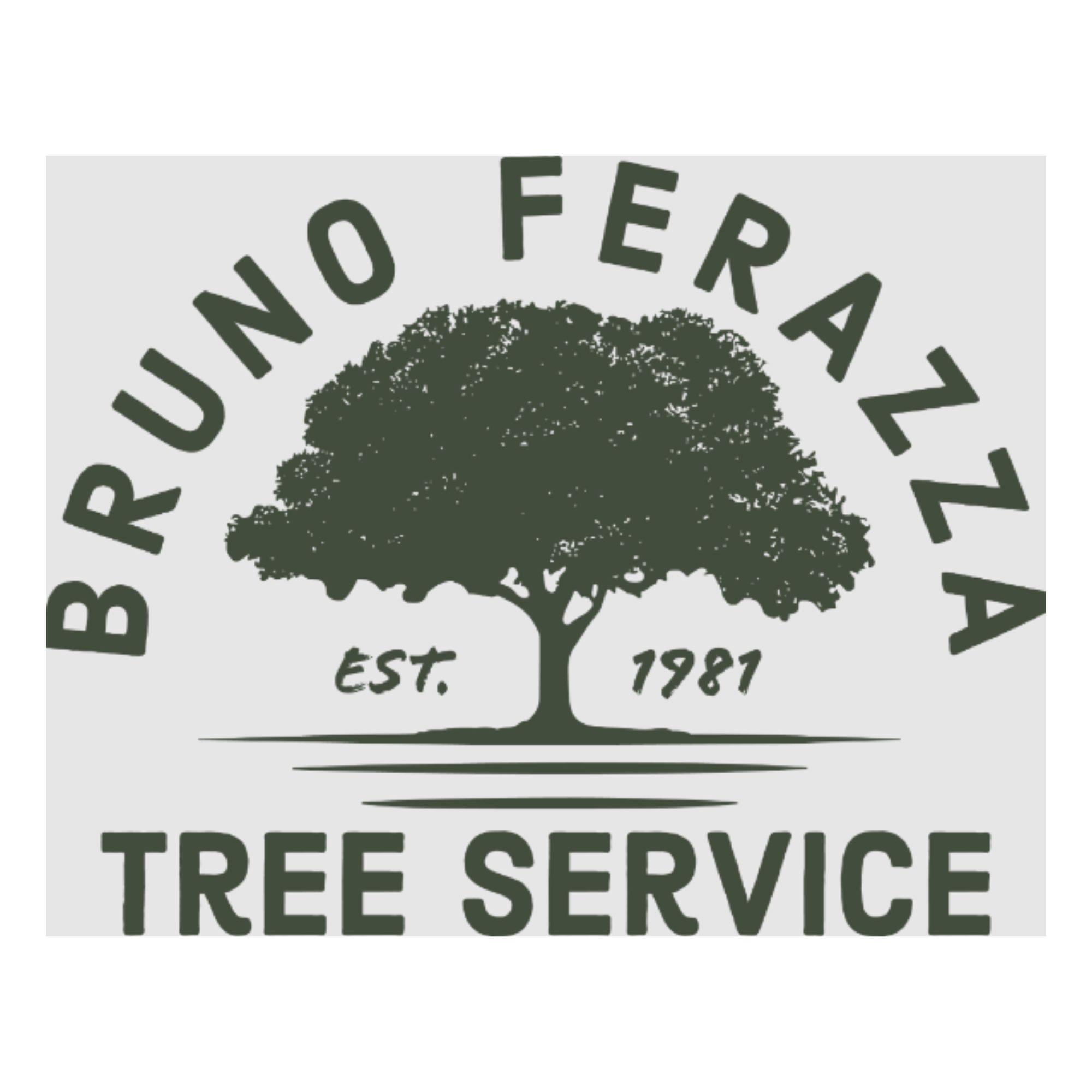 BrunoFerazza TreeService